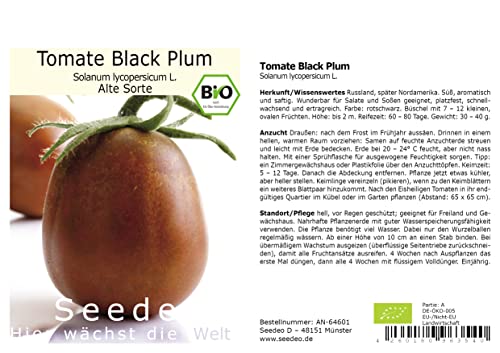 Seedeo® Tomate Black Plum (Lycopersicum L.) 20 Samen BIO von Seedeo Gemüse Raritäten