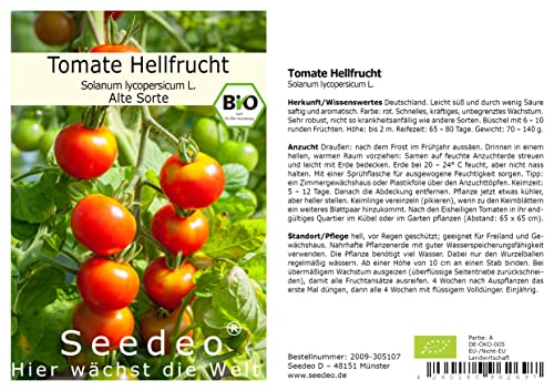 Seedeo® Tomate Hellfrucht (Lycopersicum L.) 35 Samen BIO von Seedeo Gemüse Raritäten