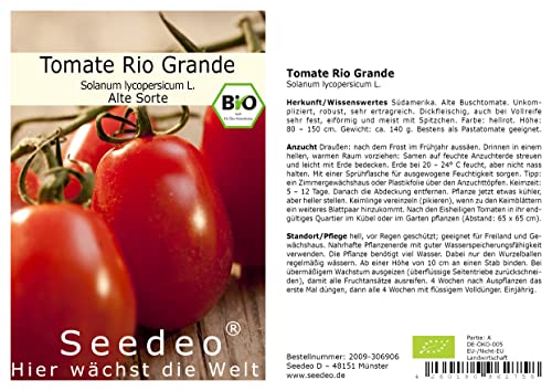 Seedeo® Tomate Rio Grande (Lycopersicum L.) 25 Samen BIO von Seedeo Gemüse Raritäten