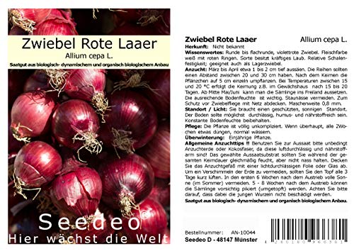 Seedeo® Zwiebel Rote Laaer (Allium cepa L.) 200 Samen BIO von Seedeo Gemüse Raritäten