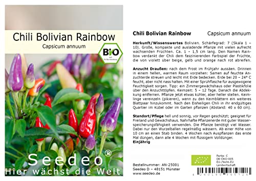 Seedeo® Chili Bolivian Rainbow (Capsicum annuum) 10 Samen von Seedeo Gemüse Raritäten