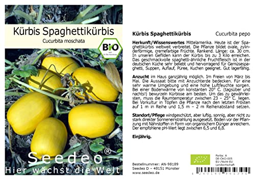 Seedeo® Kürbis Spaghettikürbis (Cucurbita pepo) 10 Samen BIO von Seedeo Gemüse Raritäten