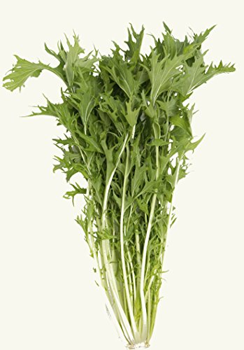 Seedeo® Mizuna (Brassica rapa var. japonica) 500 Samen BIO von Seedeo Gemüse Raritäten