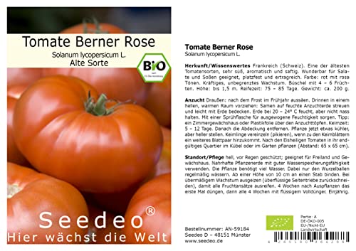 Seedeo Tomate Berner Rose (Lycopersicum L.) 25 Samen BIO von Seedeo Gemüse Raritäten