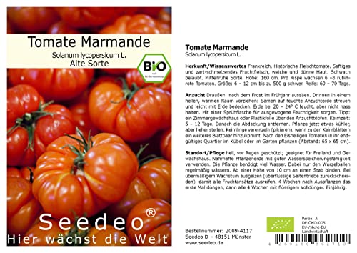 Seedeo® Tomate Marmande (Lycopersicum L.) 25 Samen BIO von Seedeo Gemüse Raritäten