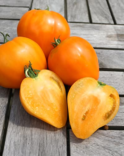 Seedeo® Tomate Ochsenherz orange (Lycopersicum L.) 20 Samen BIO von Seedeo Gemüse Raritäten