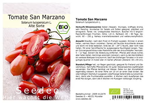 Seedeo® Tomate San Marzano (Lycopersicum L.) 30 Samen BIO von Seedeo Gemüse Raritäten