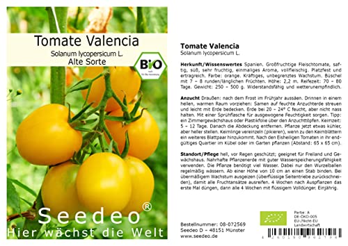 Seedeo® Tomate Valencia (Lycopersicum esculentum) 25 Samen BIO von Seedeo Gemüse Raritäten