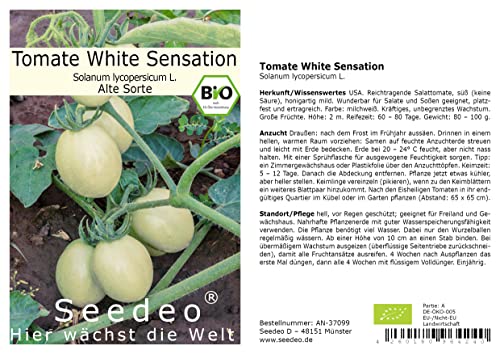 Seedeo® Tomate White Sensation (Lycopersicon esculentum Mill.) 25 Samen BIO von Seedeo Gemüse Raritäten