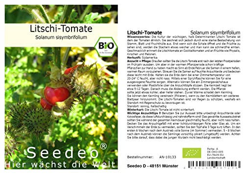Tomate® Litschi-Tomate (Solanum sisymbrifolium) 20 Samen BIO von Seedeo Gemüse Raritäten