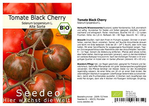 Seedeo® Tomate Black Cherry (Lycopersicum L.) 25 Samen BIO von Seedeo Gemüse Raritäten