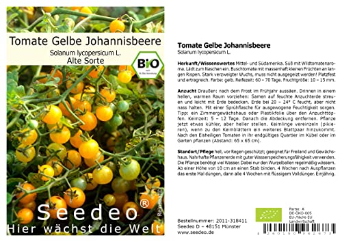 Seedeo Tomate Gelbe Johannisbeere (Lycopersicum esculentum Mill.) 25 Samen BIO von Seedeo Gemüse Raritäten