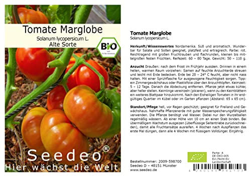Seedeo® Tomate Marglobe (Lycopersicum L.) 25 Samen BIO von Seedeo Gemüse Raritäten
