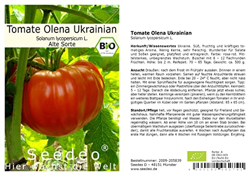 Seedeo® Tomate Olena Ukrainian (Lycopersicum L.) 25 Samen BIO von Seedeo Gemüse Raritäten