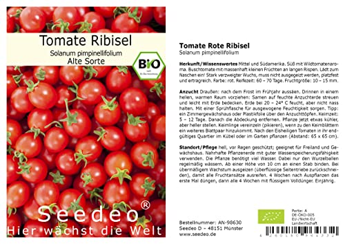 Tomate® Rote Ribisl (Lycopersicum esculentum Mill.) 20 Samen BIO von Seedeo Gemüse Raritäten