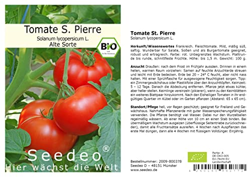 Seedeo® Tomate St. Pierre (Lycopersicum L.) 25 Samen BIO von Seedeo Gemüse Raritäten