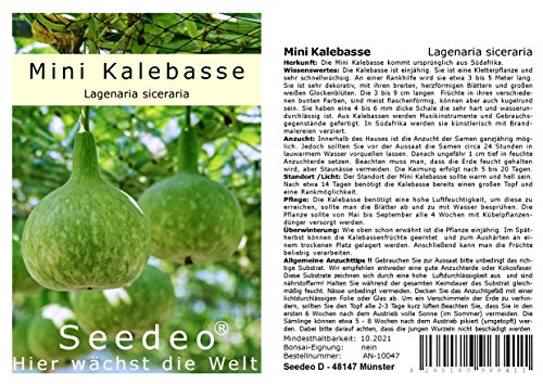 Seedeo® Afrikanische Mini Kalebase (Lagenaria siceraria) 15 Samen von Seedeo