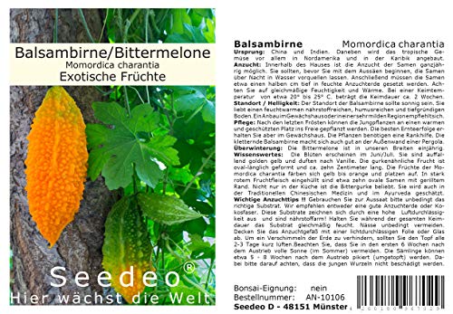 Seedeo® Balsambirne, Bittermelone (Momordica charantia) 10 Samen von Seedeo