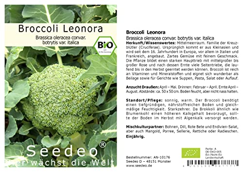 Seedeo® Broccoli Leonora (Brassica oleracea convar. botrytis var. italica) ca. 50 Samen BIO von Seedeo