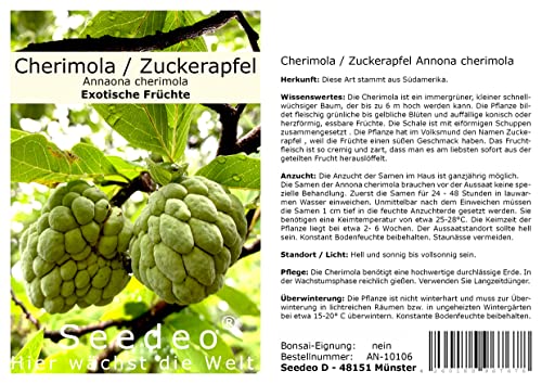 Seedeo® Cherimola/Zuckerapfel (Annona cherimola) 10 Samen von Seedeo
