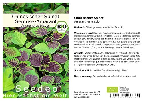 Seedeo® Chinesischer Spinat (Amaranthus tricolor) ca. 200 Samen BIO von Seedeo