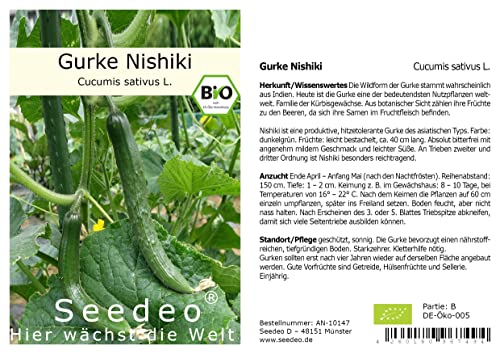 Seedeo® Salatgurke Nishiki (Cucumis sativus L.) ca. 10 Samen BIO von Seedeo