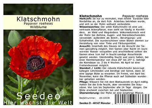 Seedeo® Klatschmohn (Papaver roeheas) 1000 Samen von Seedeo