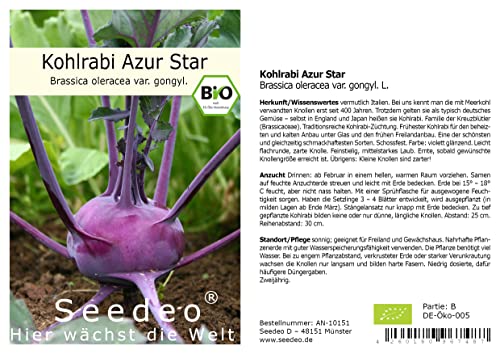 Seedeo® Kohlrabi Azur Star (Brassica oleracea var. gongyl. L.) ca. 100 Samen BIO von Seedeo