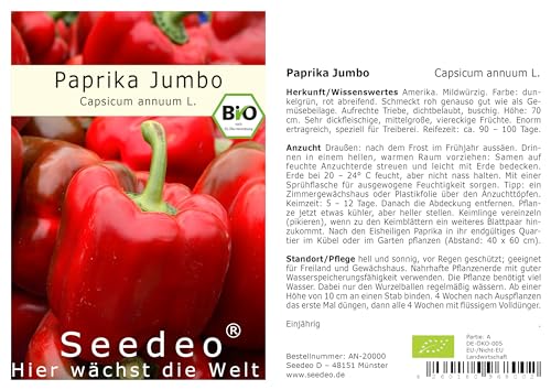 Seedeo® Paprika Jumbo (Capsicum annuum L.) 20 Samen BIO von Seedeo