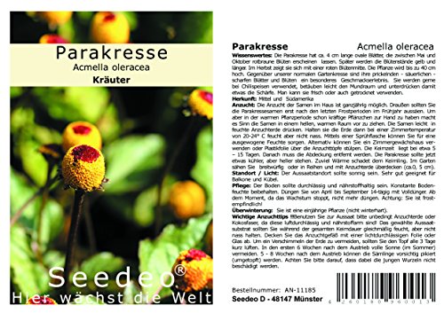 Seedeo® Parakresse (Spilanthes oleracea) 600 Samen von Seedeo