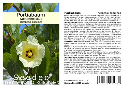 Seedeo® Portiabaum (Thespesia populnea) 20 Samen von Seedeo