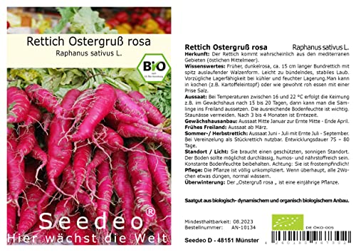 Seedeo® Rettich Ostergruß rosa (Raphanus sativus L.) 250 Samen BIO von Seedeo