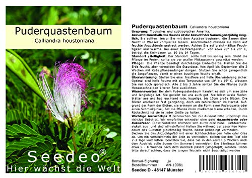Seedeo® Roter Puderquastenbaum (Caliiandra houstoniana) 20 Samen von Seedeo