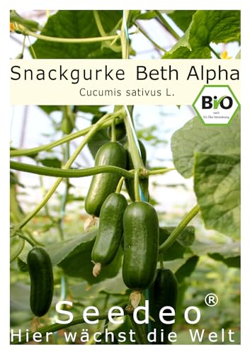 Seedeo® Salat/Snackgurke ‚Beth Alpha‘ (Cucumis sativus L.) 10 Samen BIO von Seedeo