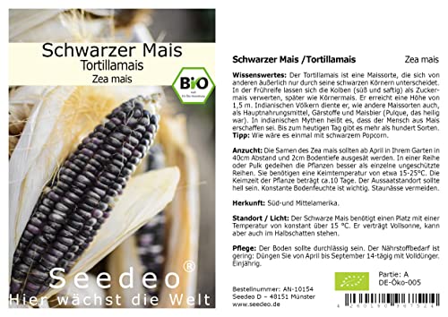 Seedeo® Schwarzer Mais/Tortillamais (Zea mais) ca. 25 Samen BIO von Seedeo