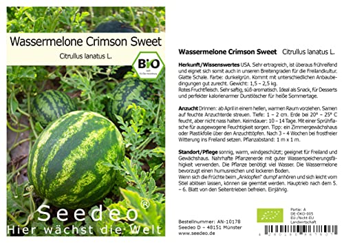 Seedeo® Wassermelone Crimson Sweet (Citrullus lanatus L.) ca. 10 Samen BIO von Seedeo