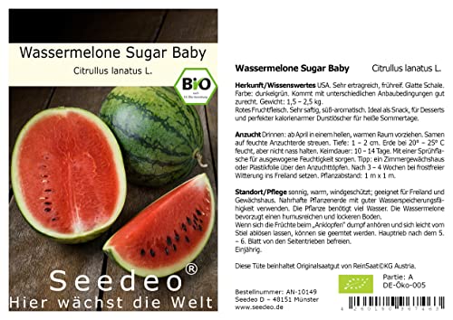 Seedeo® Wassermelone Sugar Baby (Citrullus lanatus L.) 10 Samen BIO von Seedeo