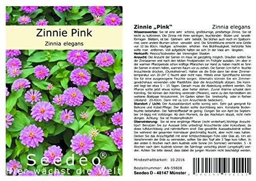 Seedeo® Zinnie „Pink“ (Zinnia elegans)50 Samen von Seedeo