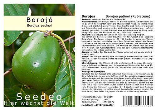Seedeo® Borojó (Borojoa patinoi) 10 Samen von Seedeo