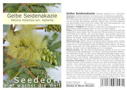 Seedeo Gelbe Seidenakazie (Albizzia lophanta) 40 Samen von Seedeo