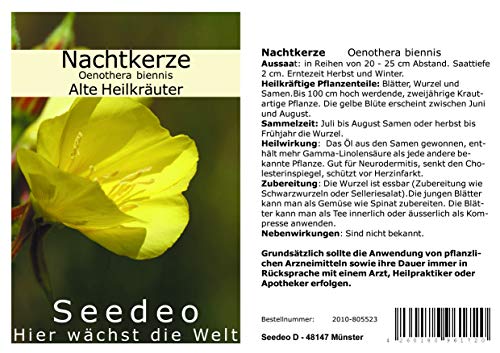 Seedeo Nachtkerze (Oenothera biennis) 200 Samen von Seedeo