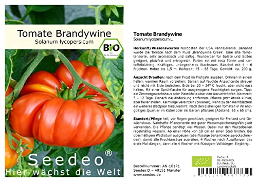 Seedeo Tomate Brandywine (Solanum Lycopersicum L.) 25 Samen BIO von Seedeo