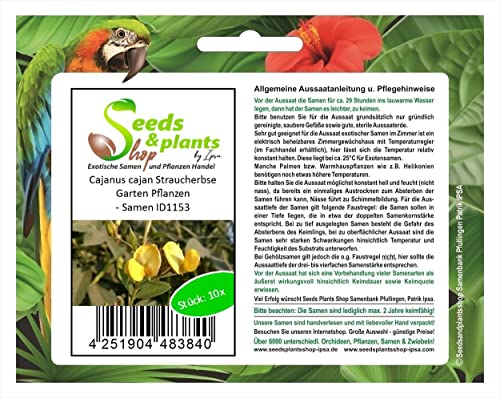 Stk - 10x Cajanus cajan Straucherbse Garten Pflanzen - Samen ID1153 - Seeds & Plants Shop by Ipsa von Seeds & Plants Shop by Ipsa