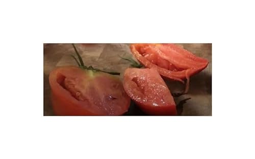 Stk - 15x Tomate Amish Paste rot saftig fleischig groß Pflanzen - Samen B370 - Seeds & Plants Shop by Ipsa von Seeds & Plants Shop by Ipsa