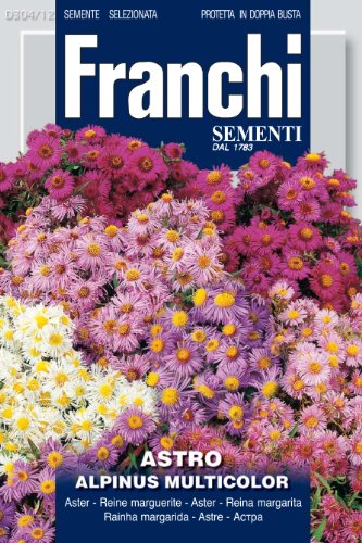 Franchi Samen Alpen-Aster von Seeds of Italy Ltd