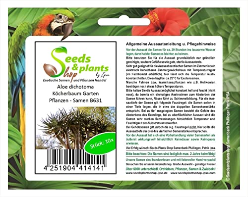 Stk - 10x Aloe dichotoma Köcherbaum Garten Pflanzen - Samen B631 - Seeds & Plants Shop by Ipsa von Seeds & Plants Shop by Ipsa