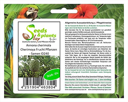Stk - 10x Annona cherimola Cherimoya Frucht Pflanzen - Samen ID240 - Seeds & Plants Shop by Ipsa von Seeds & Plants Shop by Ipsa