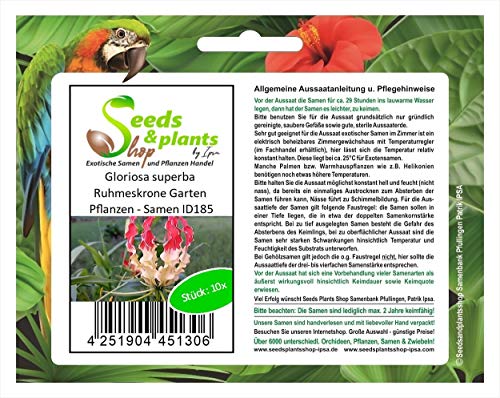 Stk - 10x Gloriosa superba Ruhmeskrone Garten Pflanzen - Samen ID185 - Seeds & Plants Shop by Ipsa von Seeds & Plants Shop by Ipsa