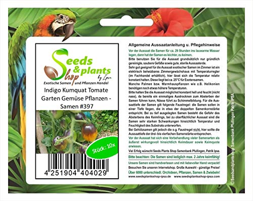 Stk - 10x Indigo Kumquat Tomate Garten Gemüse Pflanzen - Samen A397 - Seeds & Plants Shop by Ipsa von Seeds & Plants Shop by Ipsa