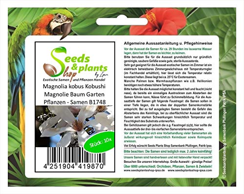 Stk - 10x Magnolia kobus Kobushi Magnolie Baum Garten Pflanzen - Samen B1748 - Seeds & Plants Shop by Ipsa von Seeds & Plants Shop by Ipsa